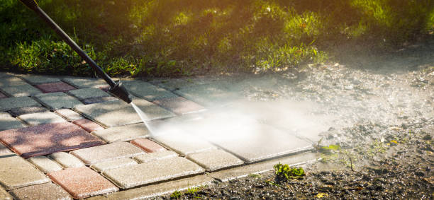 Animal Enclosure Cleaning in Belmond, IA